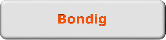 Bondig